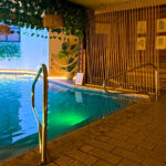wellness-spa-pool-BzzAfgYt